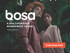 bosa agency ads=banner